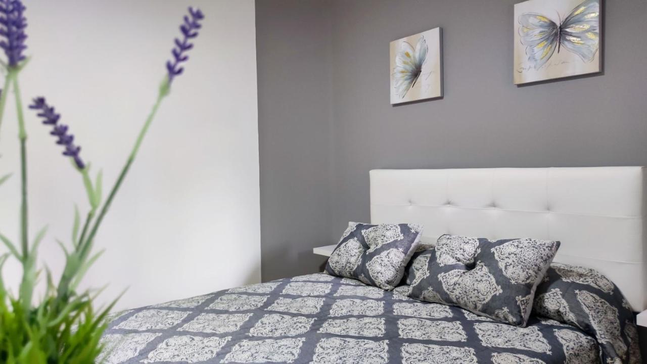 Appartement Os Reloxos II à Mondariz-Balneario Extérieur photo